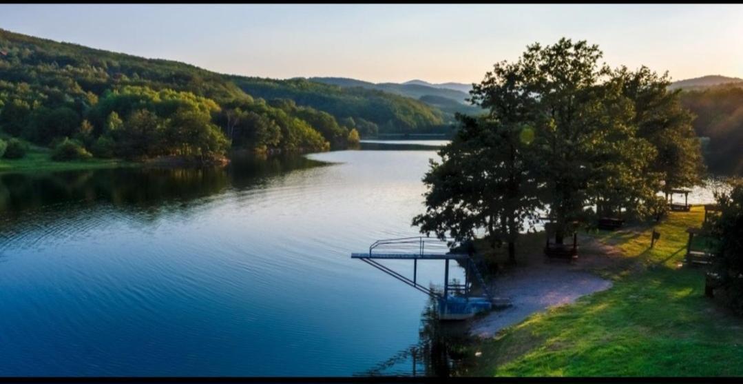 Vila Tea Borsko Jezero 빌라 외부 사진